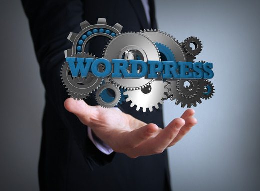 WordPress.org or WordPress.com