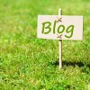 Should New Bloggers Create their Website on WordPress? blog